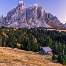 forest, Dolomites, viewes, Mountains, Italy, trees, house