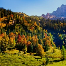Karwendel, Austria, Mountains, woods, autumn, Tirol