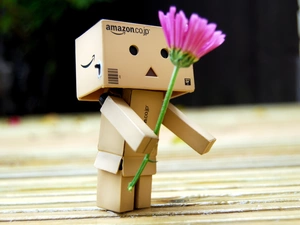 Danbo, cardboard, M&Ms mate, Flower