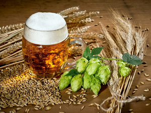 Beer, hop, corn, mug