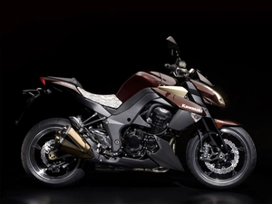 silencer, Kawasaki Z1000, naked