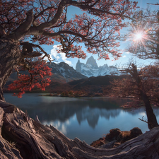 Fitz Roy, autumn, trees, Los Glaciares National Park, branch pics, Argentina, Patagonia, mountains, Andes Mountains, rays of the Sun, viewes