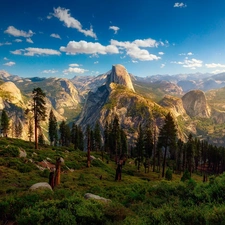 Mountains, trees, State of California, Yosemite National Park, The United States