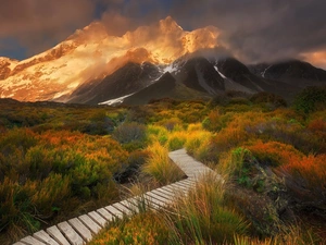 Mountains, Mount Cook National Park, VEGETATION, Hooker Valley, New Zeland, Mount Cook, Path
