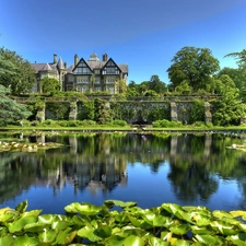 Castle, Pond - car, Nenufary, Garden