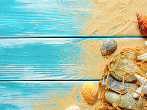 Sand, Shells, boarding, net, starfish, Blue, composition