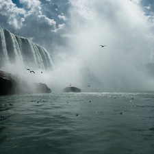 birds, waterfall, Niagara Falls