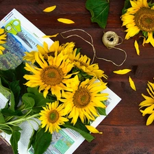Nice sunflowers, Paper, composition, decoration, scissors, bouquet, Flowers, twine