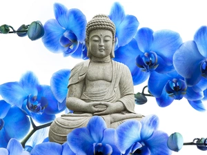 blue, orchids, Statue of Buddha, Flowers
