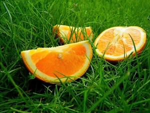 cuts, Green, grass, orange
