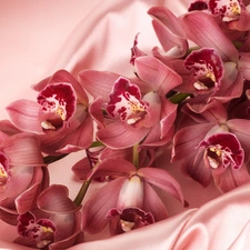 Orchidee, satin, Pink