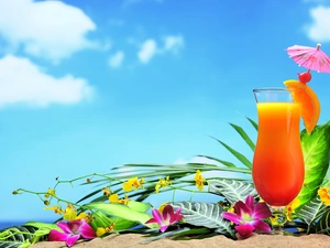 composition, Drink, Flowers, orchids, Orange Juice