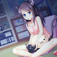 Otaku, figures, Anime, Manga, girl