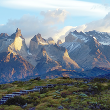 Cordillera del Paine Mountains, Patagonia, wood, Torres del Paine National Park, Chile, VEGETATION, Degrees