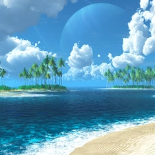 Beaches, Islands, Palms, sea