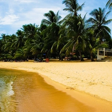 Beaches, Sand, Palms, sea