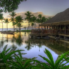 creek, VEGETATION, Palms, cottage