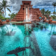 Hotel hall, chute, Palms, water