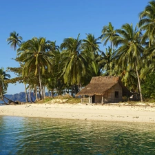 Palms, Island, Home