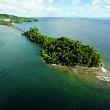 Palms, sea, Island