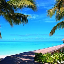 Palms, sea, pier