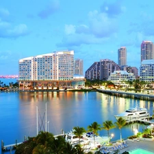 Palms, port, buildings, water, Great