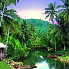 River, Mountains, Palms, Boats