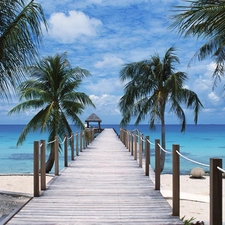 sea, Beaches, Palms, Platform