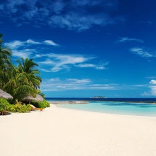 sea, Beaches, Palms, Sky