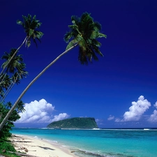 Palms, Beaches, sea