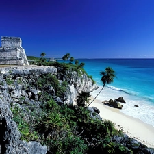 sea, Coast, Palms, scarp