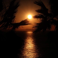 west, sea, Palms, sun