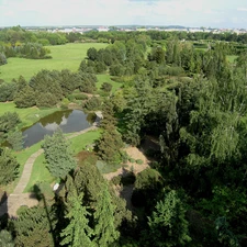 panorama, Park, dendrologic