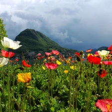 Mountains, River, papavers, clouds