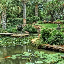 Pond - car, lilies