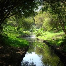 Flowers, Garden, Park, summer, green, River