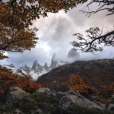 Andes Mountains, autumn, Los Glaciares National Park, trees, Patagonia, Argentina, branch pics, Stones, viewes