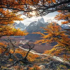 autumn, Argentina, Fitz Roy Mountain, Mountains, trees, rays of the Sun, River Rio de las Vueltas, Los Glaciares National Park, Patagonia, viewes, branch pics