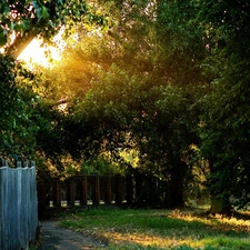 Path, Lawn, trees, viewes, Fance