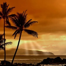 peaks, Mountains, sun, Palms, west