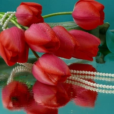 Pearl, Red, Tulips