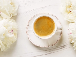 plate, coffee, White, Peonies, Flowers, cup