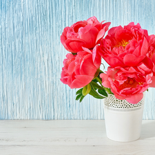 Red, White, Vase, Peonies