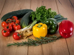 Seasons, peppers, tomatoes, cucumbers, vegetables