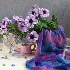 Flowers, petunias