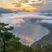 River, Mountains, bridge, Fog, rays of the Sun, Korea, pine, clouds, trees