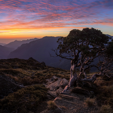 Great Sunsets, clouds, pine, rocks, Mountains