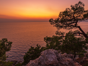 Rocks, sea, viewes, pine, trees, Great Sunsets