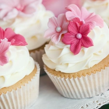 Pink, flowers, Muffins, cream, muffins