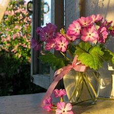 pink, flowers, Vase, bouquet, Window